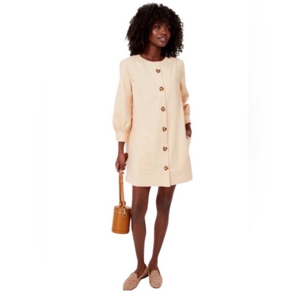 Tuckernuck | Stone‎ Blake Mini Button Front Dress Size Small Puff Sleeves Mod